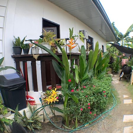 Jml Homestay General Luna  Exterior photo