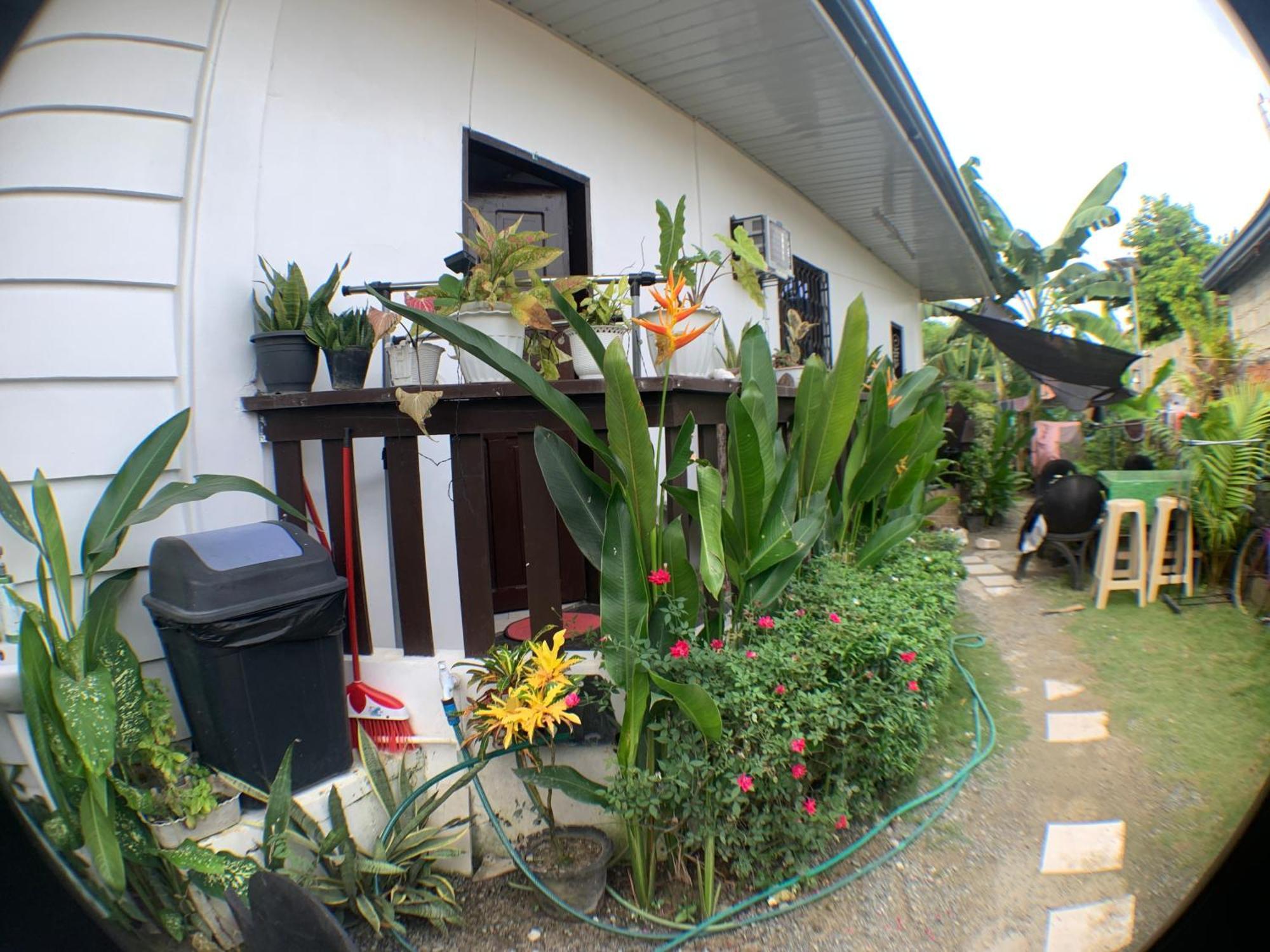 Jml Homestay General Luna  Exterior photo