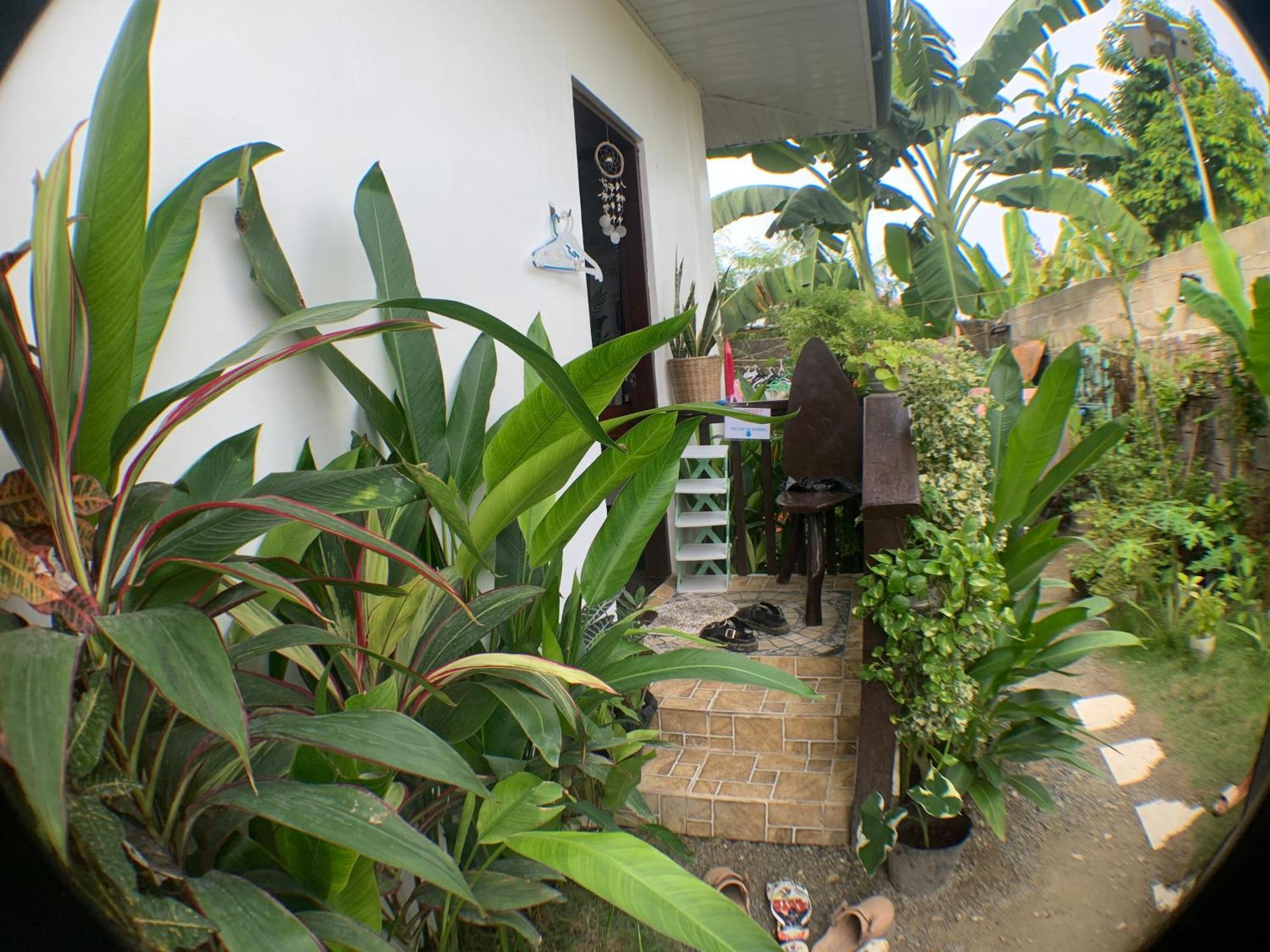 Jml Homestay General Luna  Exterior photo